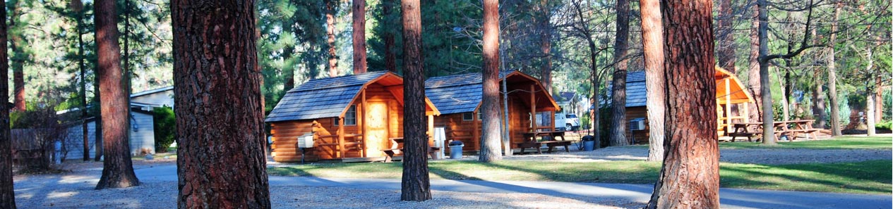 Cabins in the woods.