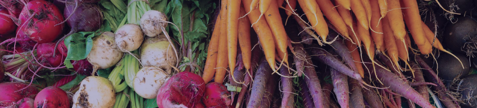 Close up of colourful vegetables.