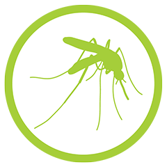 Mosquito icon