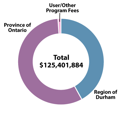 Pie chart showing Health Department revenues by source.