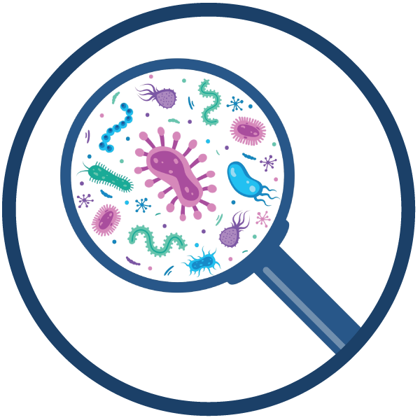 Sexually transmitted infections (STIs)