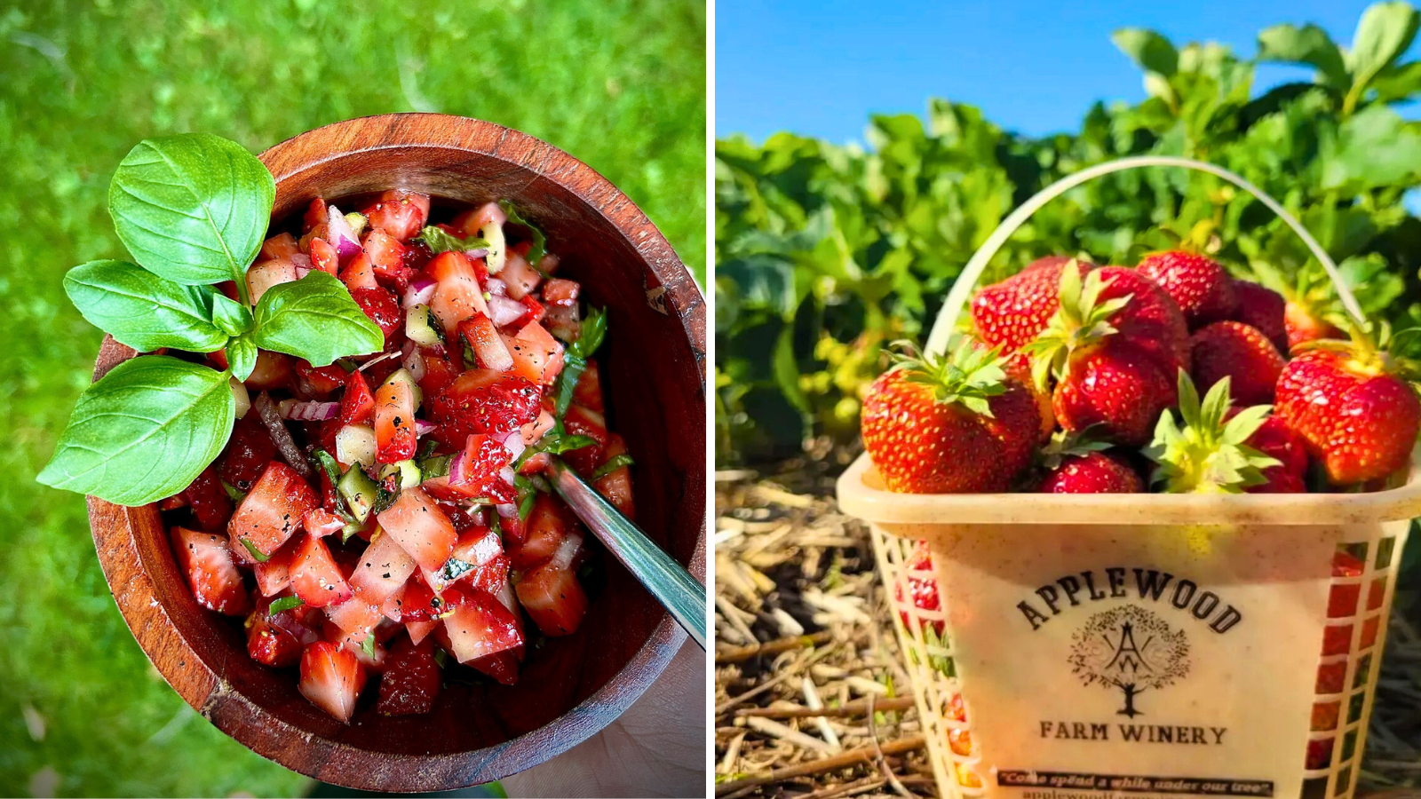 Collage of images including an aerial image of charred chili and strawberry salsa and a basket of strawberries