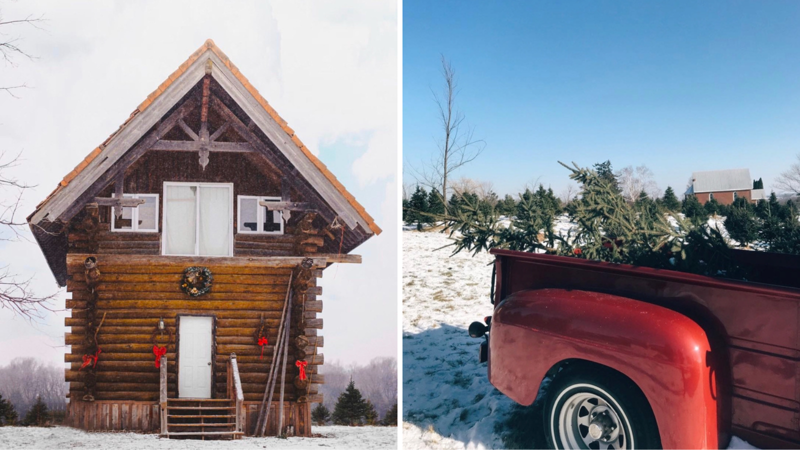 Collage of log cabin and a tree in the back of a red truck at Spademan Christmas Tree Farm in Port Perry, Ontario