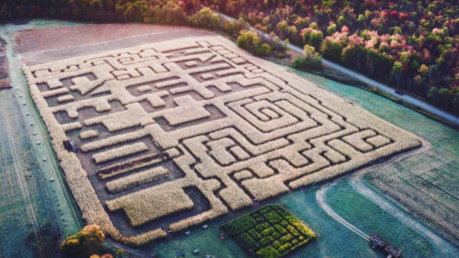 Corn maze at Cooper's CSA Farm in Uxbridge, Ontario