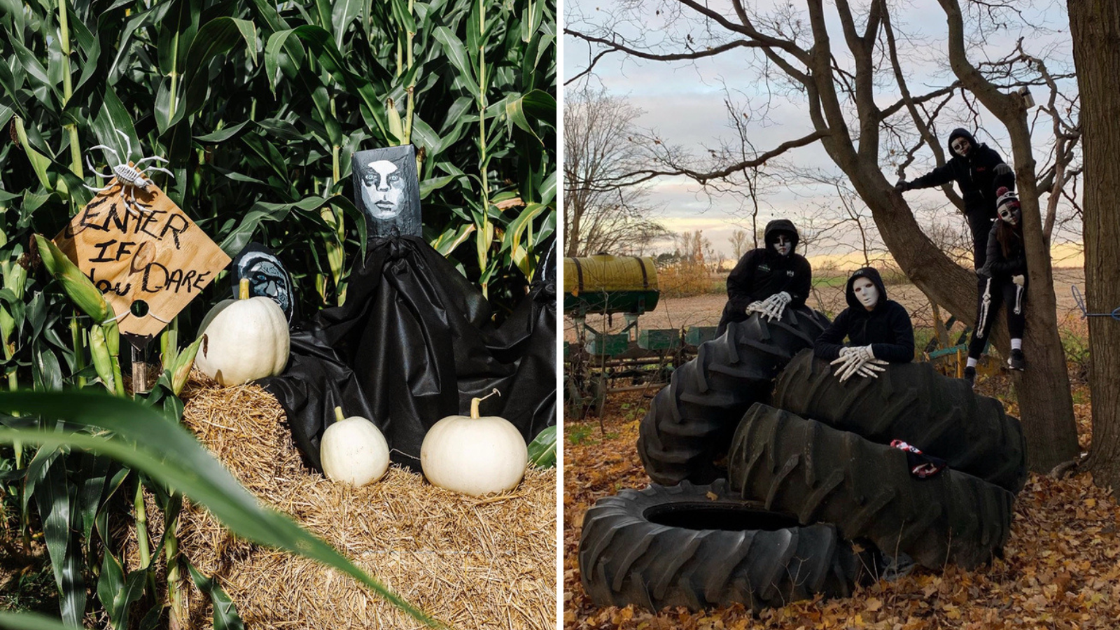 Collage of spooky corn maze experiences in Durham Region, Ontario, Canada