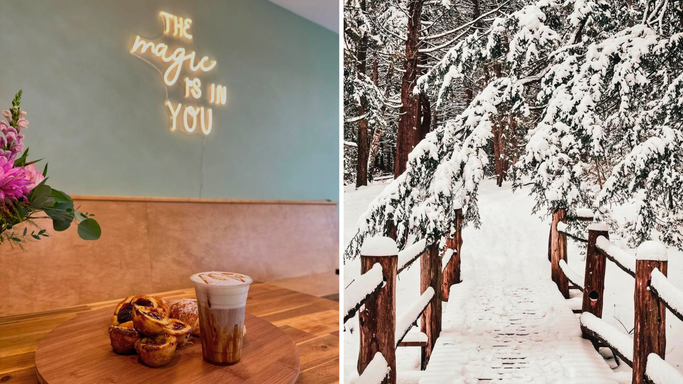 Collage of images including a coffee and pastries on a table at a cafe in front of a neon sign reading "The magic is in you" and an image of a snowy forest trail going over a bridge