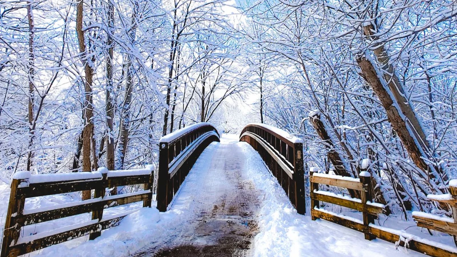 Image of a trail that goes over a bridge in a snowy forest