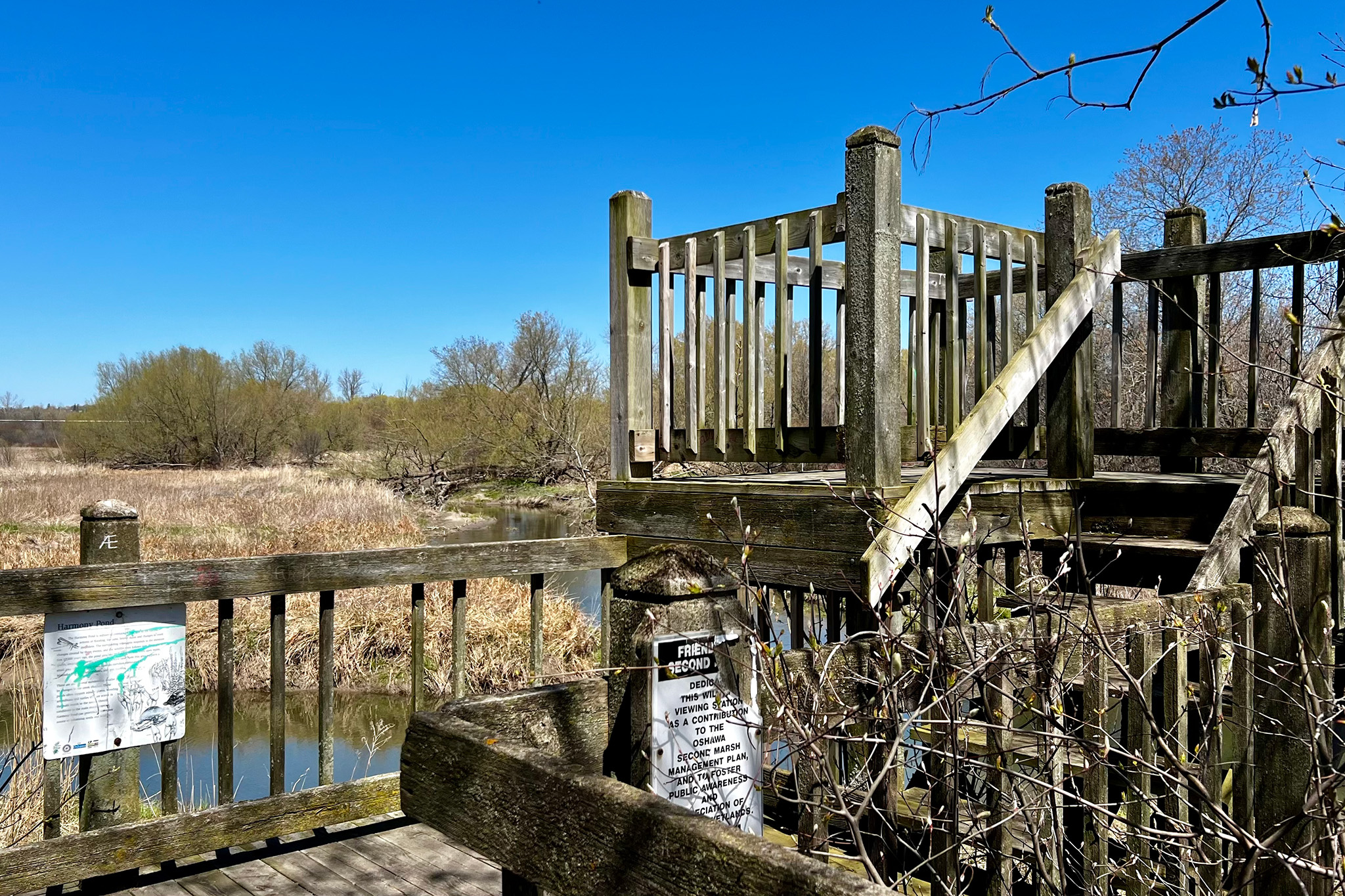Image of viewing platform that overlooks Second Marsh