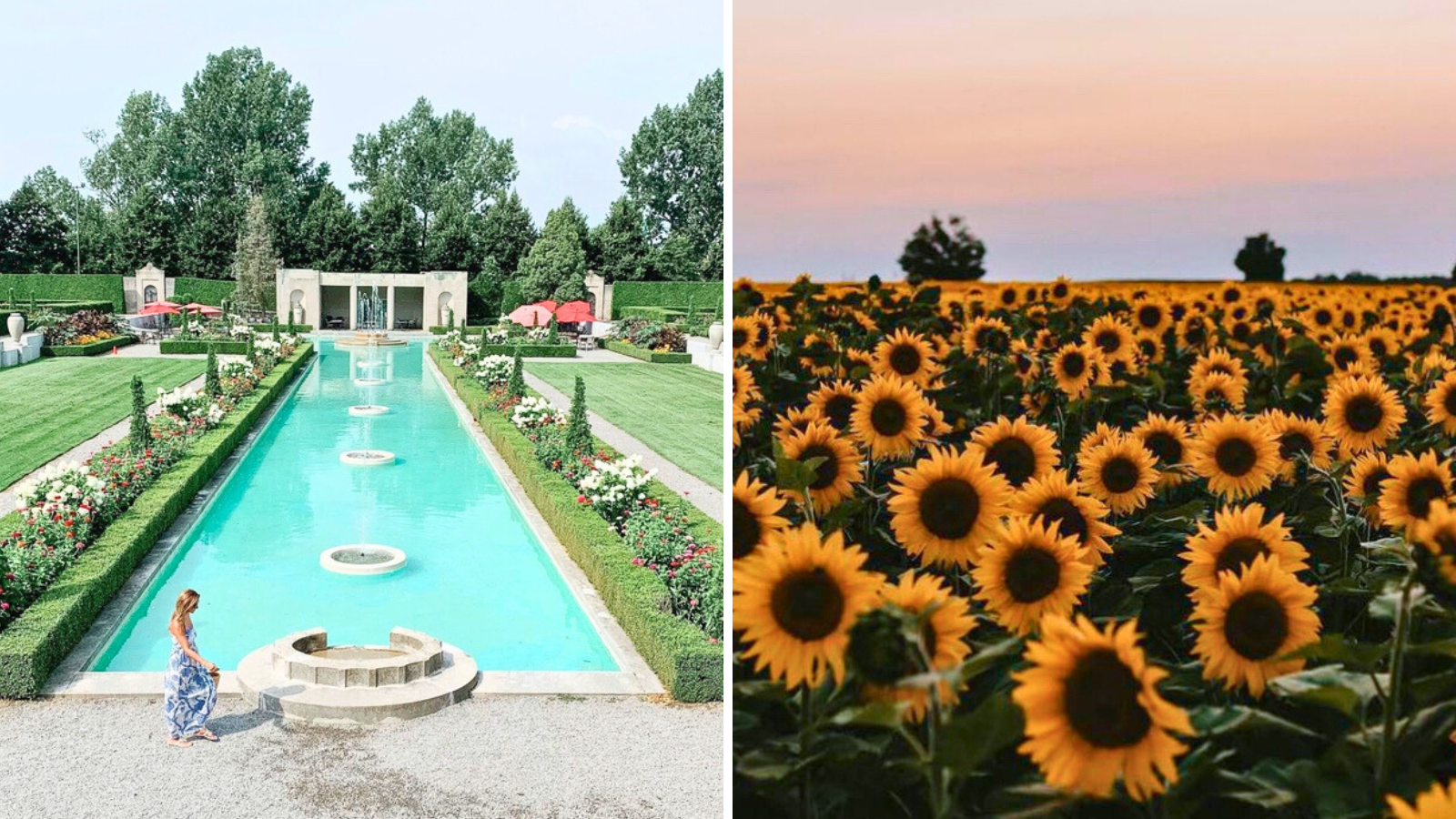 Collage of images include one of the pool at Parkwood Estates and the other of a field of sunflowers