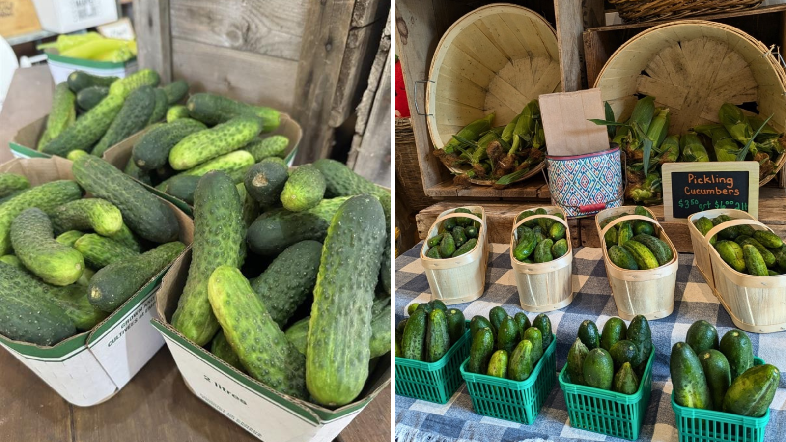 Two images side by side; one of pickling cucumbers at a farm market and the other of an entire retail display of pickling cucumbers