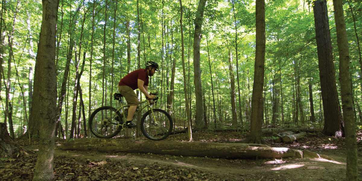 Cyclist mountain biking in a forest during summer.