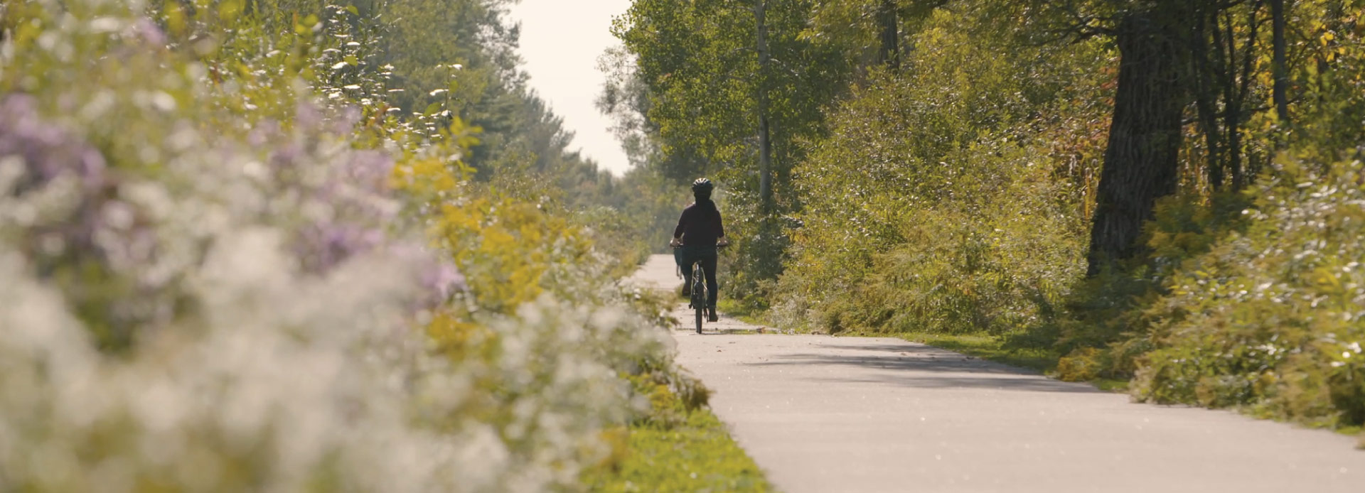 Cyclist on a path in the Spring surrounded by greenspace.