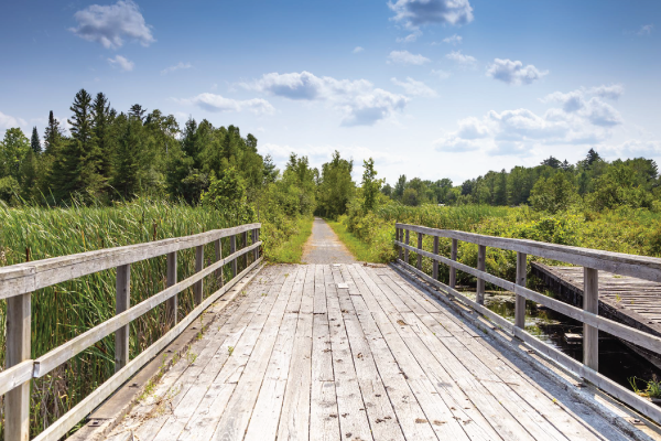 Bridge in the Beaver River Wetlands Trail.