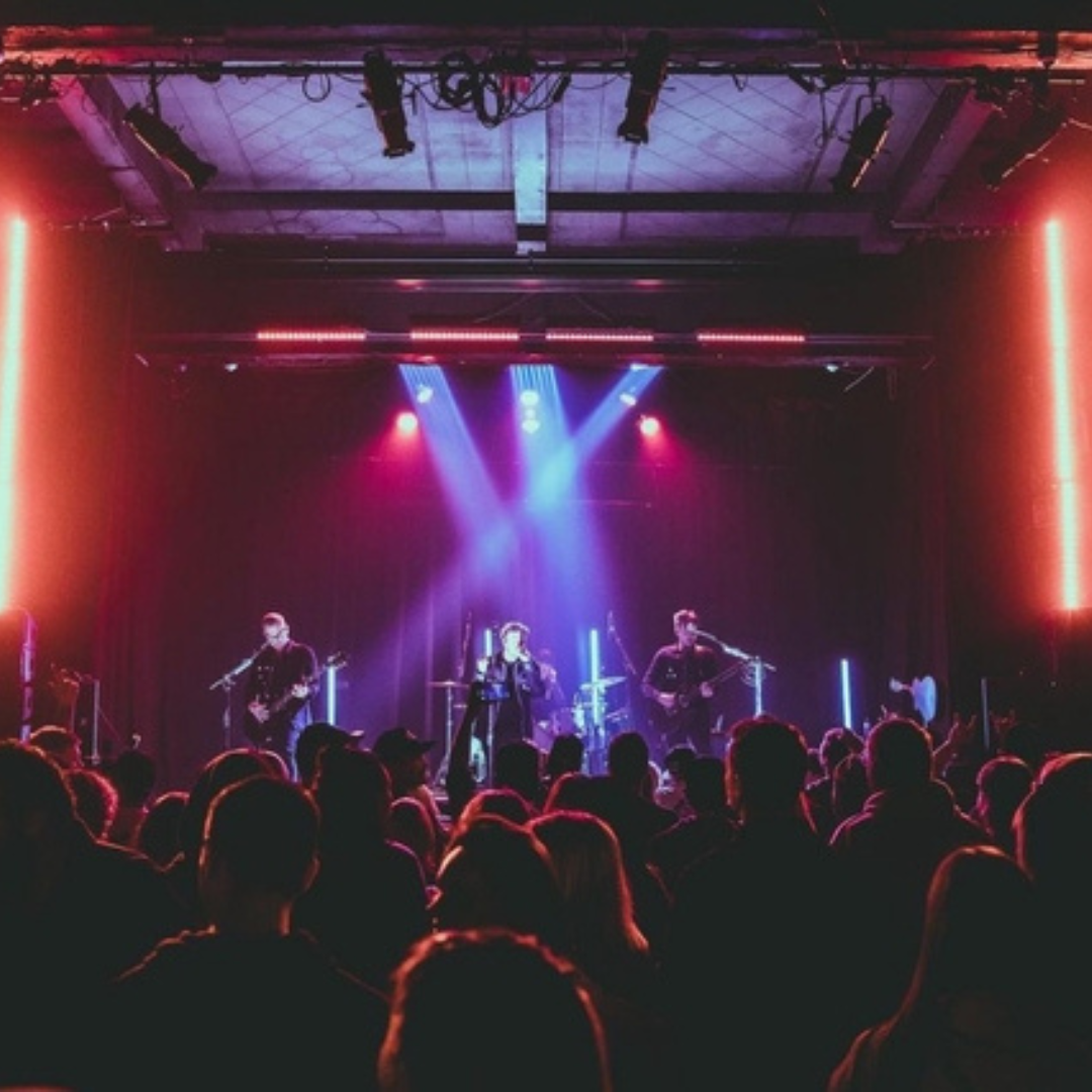 Crowd of people at a concert in Oshawa, Ontario