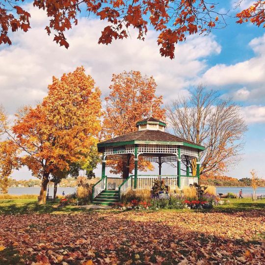 Gazebo at Palmer Park in Port Perry, Ontario