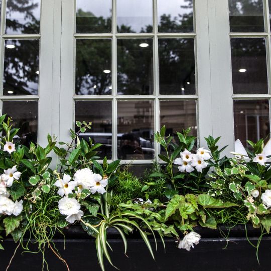 Window with flowers in Durham Region, Ontario