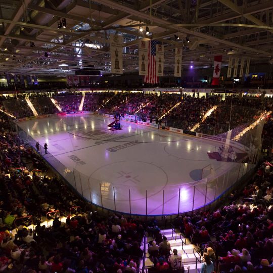 Crowd of people at a hockey game in Oshawa, Ontario