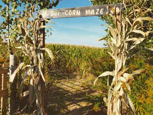 Corn maze entrance at Applewood Farm and Winery.