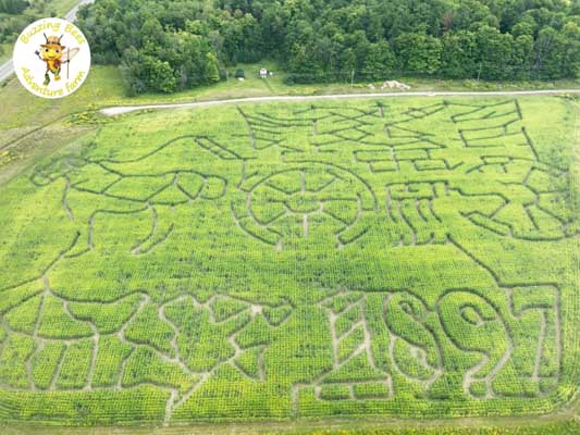 Ariel view of a corn maze.