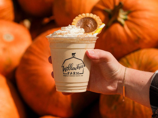 Holding an iced coffee drink in front of pumpkins.