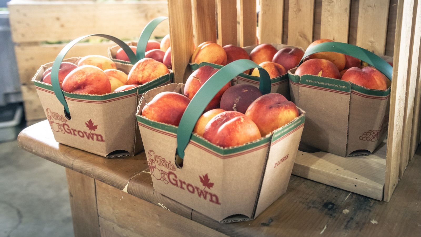 Image of a display containing baskets of fresh Ontario apples