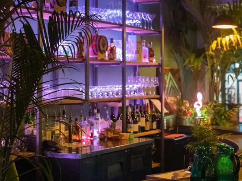 Image of the back wall of a bar lit up with coloured lights at a tropical restaurant