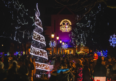 Image of a crowd gathered in a park decorated with holiday lights 