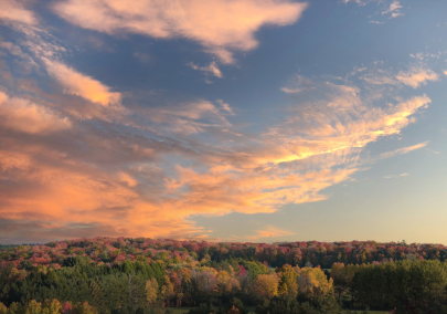 A scenic view of fall leaves at sunset