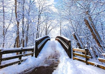 Image of a path going over a bridge in a snowy forest